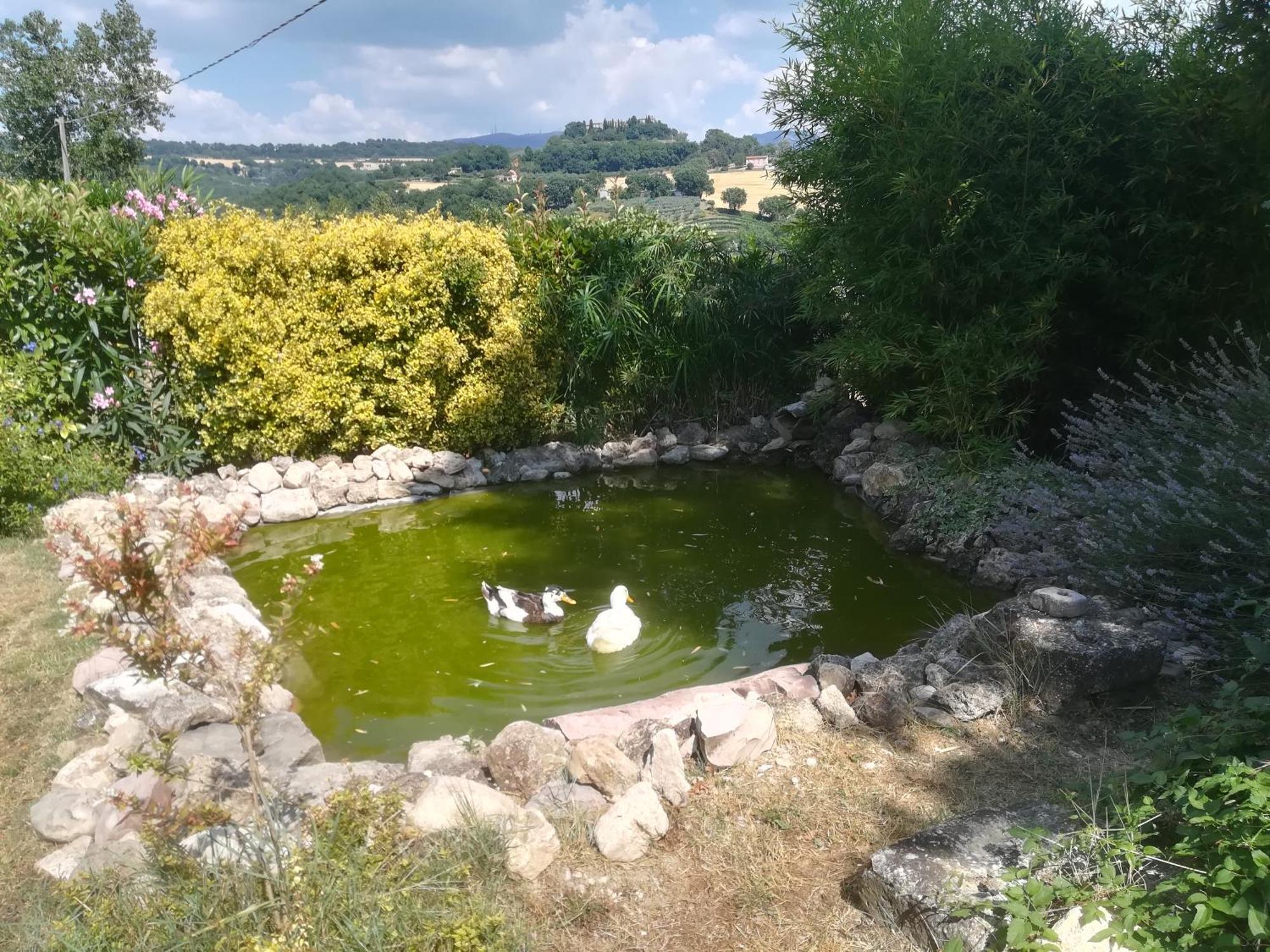 Villa La Piccola Fattoria Todi Exterior foto