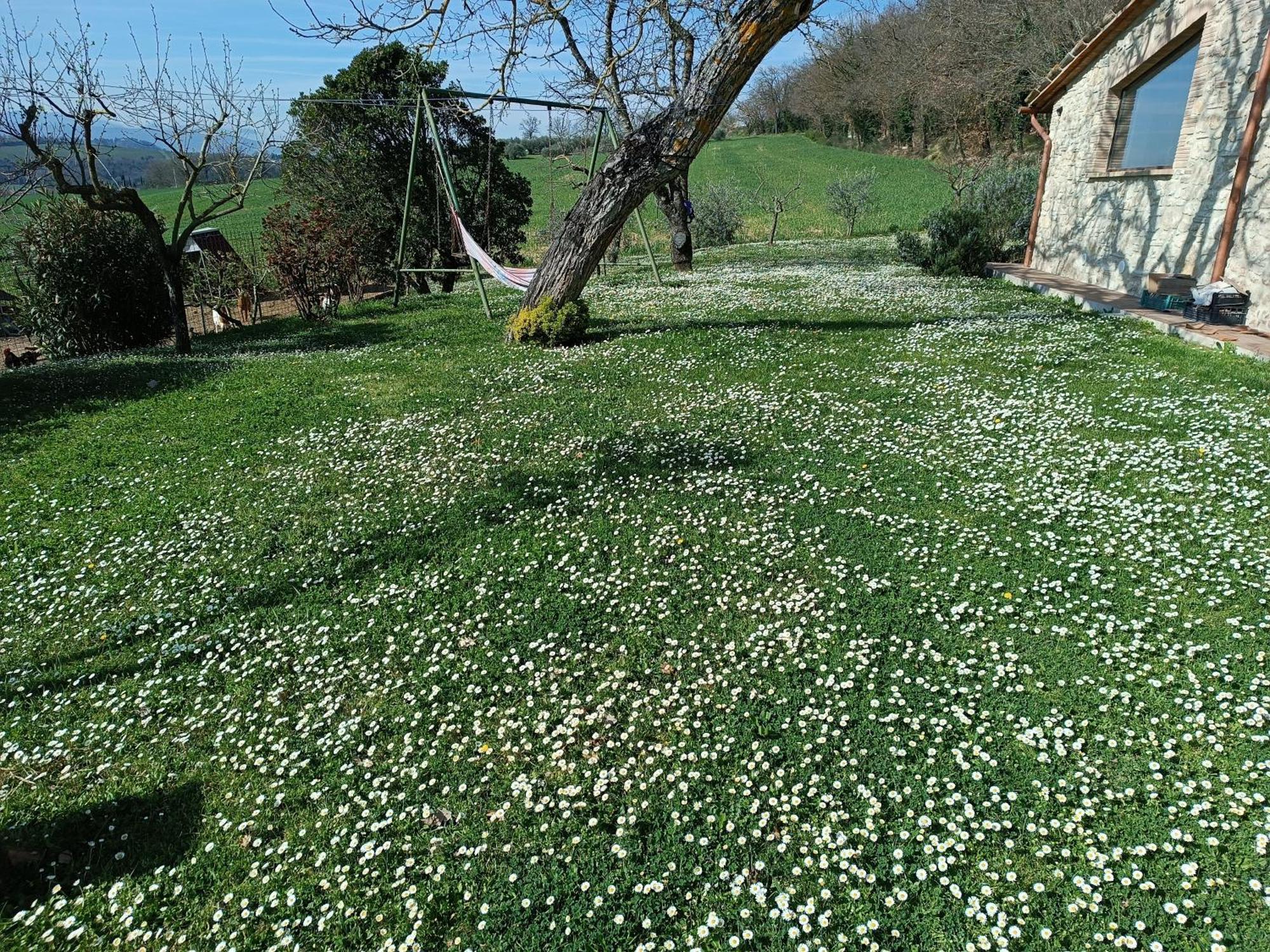 Villa La Piccola Fattoria Todi Exterior foto